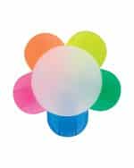 Flower Highlighter - 3